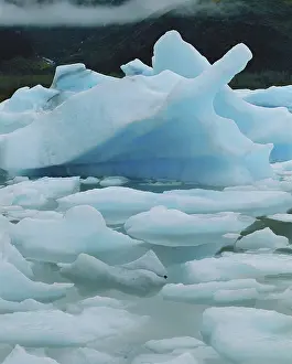 Derived: Icebergs in Portage Lake, Alaska