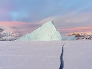 Uummannaq: Icebergs in front of Storen Island, frozen into