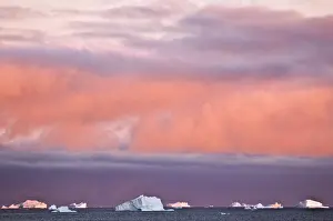 Conserve: Icebergs at sunrise, Cape York, West Coast
