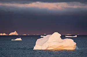 Conserve: Icebergs at sunrise, Cape York, West Coast