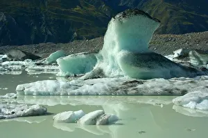 Thawing: Icebergs - thawing icebergs swimming in Tasman Glacier Lake
