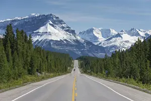 Icefields: Icefields Parkway