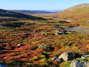 Westfjord: Iceland, colors of fall in Middalur at