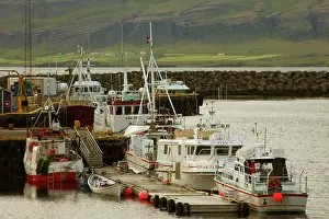 Commerce: Iceland, Djupivogur. Boats docked in Djupivogur