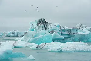 Iceberg: Iceland. Fjallsarlon Glacier Lake at the south end of the