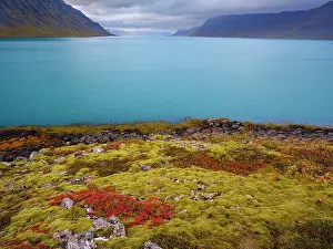 Westfjord: Iceland. Fjord Borgarfjordur and Arnarfjordur during autumn