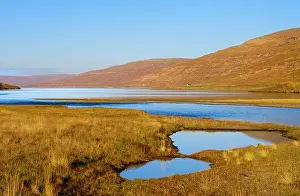Westfjord: Iceland. Hvanneyrardalur and coastline Strandabyggd in fjord