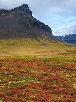 Gloomy: Iceland. Landscape in Dyrafjordur during autumn