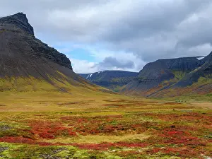 Gloomy: Iceland. Landscape in Dyrafjordur during autumn