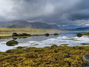 Gloomy: Iceland. Landscape in Dyrafjordur during autumn