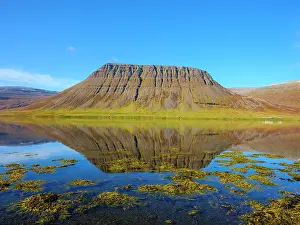 Awesome: Iceland. Landscape in fjord Alftafjordur during autumn