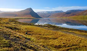 Kelp: Iceland. Landscape in fjord Alftafjordur during autumn
