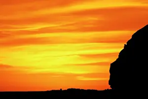 Morris: Iceland, Latrabjarg. Silhouette of cliffs