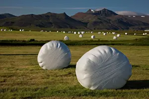 Plastic: Iceland. Plastic-wrapped hay bales can be