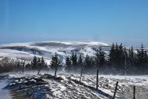 Fence: Iceland snowscape