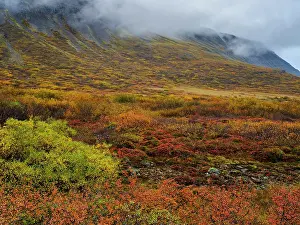 Westfjord: Iceland. Sunndalur in Trostansfjordur during autumn