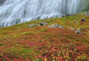 Westfjord: Iceland. Waterfall Dynjandi in Borgarfjordur during autumn