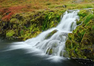 Westfjord: Iceland. Waterfall Dynjandi in Borgarfjordur during autumn