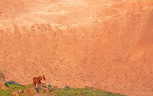 Rhyolite: Horse