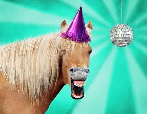 Anthropomorphic: Icelandic Horse - laughing