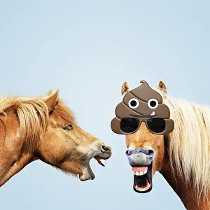 Shit: Icelandic Horses, laughing wearing emoji sun-glasses