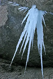 Icicles: Icicles