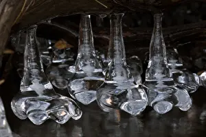 Icicles: icicles at edge of lake, Maryland, USA