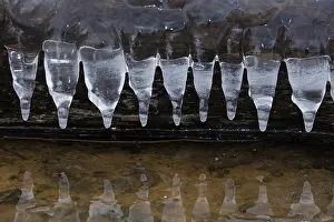 Formed: Icicles, formed at edge of lake, Maryland