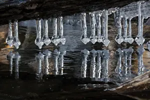Formed: Icicles, formed at edge of lake, Maryland