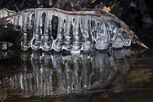 Formed: Icicles, formed at edge of lake, Maryland