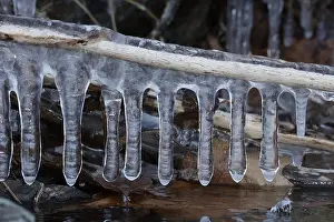 Formed: Icicles, formed at edge of lake, Maryland