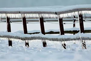 Icicles: Icicles - hanging down from fence in winter