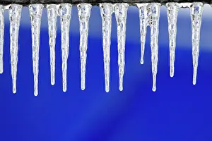 Icicles: Icicles - hanging down from fence in winter