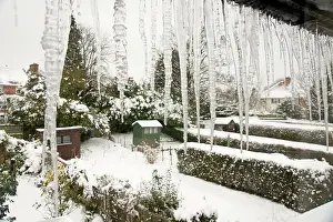 Gutter: Icicles - hanging from roof gutter