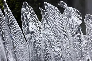 Rainier: Icicles, Mt. Rainier National Park, Washington