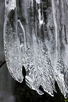 Rainier: Icicles, Mt. Rainier National Park, Washington