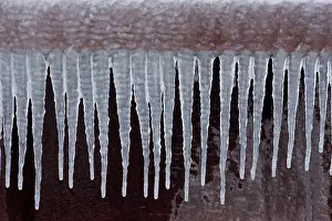 Seneca: Icicles - Near Seneca Lake in Upstate New York