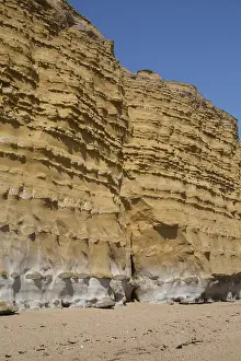Hive: Iconic golden cliffs West Bay and Hive Beach Burton