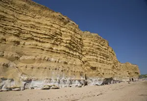 Hive: Iconic golden cliffs West Bay and Hive Beach Burton