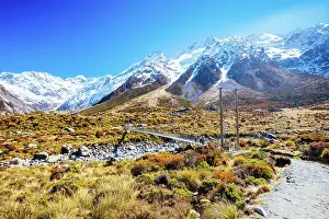 Half: The iconic half day world famous Hooker Valley Track h
