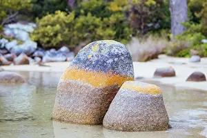 Fires: Detail of the iconic lichen covered rocks in the