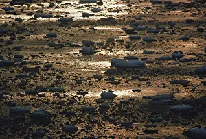 Bits: Icy Seas, Antarctica