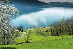 Surrounding: idyllic landscape with Lake Zug and surrounding