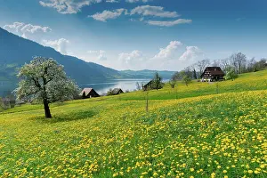 Surrounding: idyllic landscape with Lake Zug and surrounding