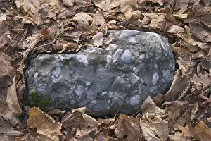 Wisconsin: Igneous Rock