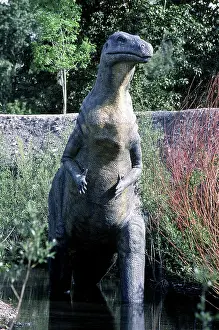 Models: Iguanodon