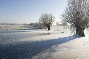 Flood: ijssel