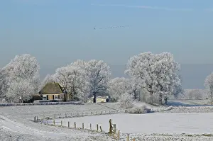 Rime: ijsseldijk