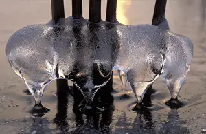 Wieden: ijsstructuren