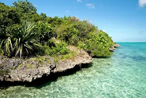 Aigrettes: Ile aux Aigrettes island